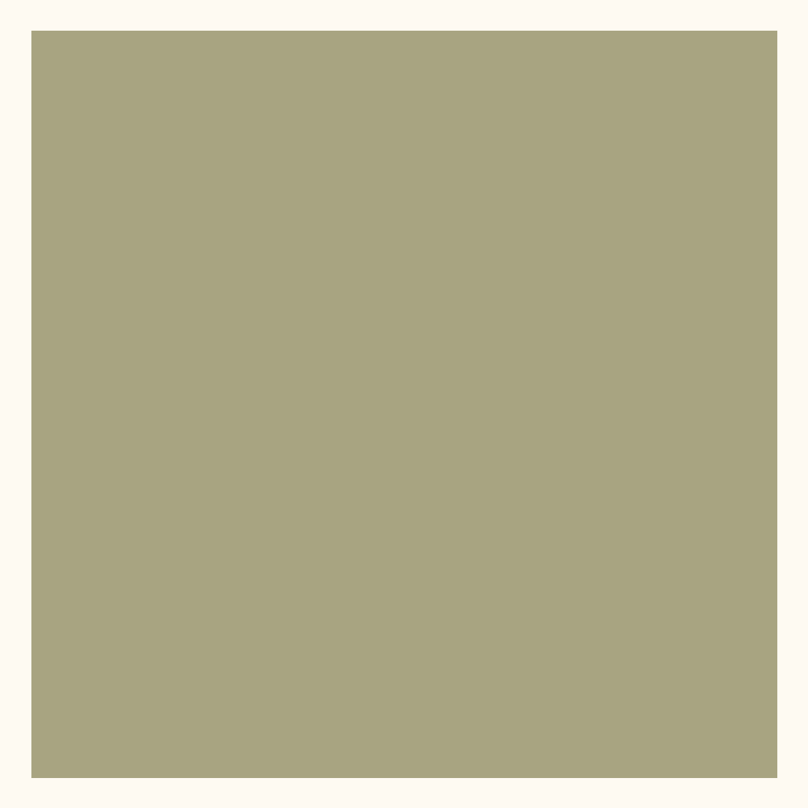 __size:S __color:Olive-Ecru #Size_S