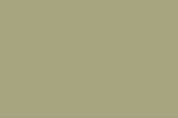 __size:XS __color:Olive-Ecru #Size_XS