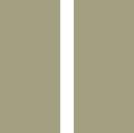 __size:M __color:Olive-Ecru #Taille_M