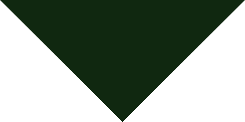 __size:M __color:Vert-Lin