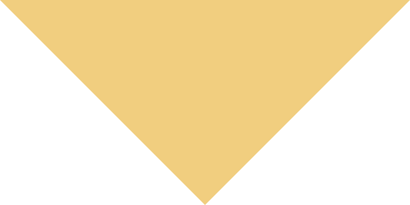 __size:M __color:Yellow-Ecru
