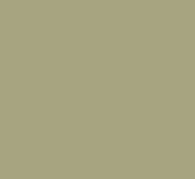 __size:S __color:Olive-Ecru #Size_S